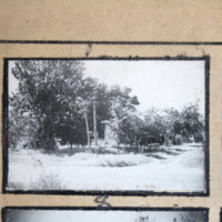 Partridge 1945 picture 01