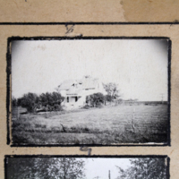 Partridge 1945 picture 02