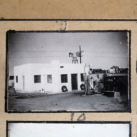 Partridge 1945 picture 03