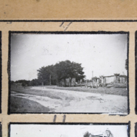 Partridge 1945 picture 04