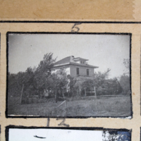 Partridge 1945 picture 05