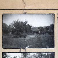 Partridge 1945 picture 06