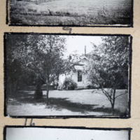 Partridge 1945 picture 09