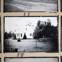 Partridge 1945 picture 11