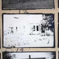 Partridge 1945 picture 12