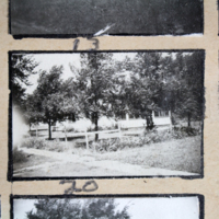 Partridge 1945 picture 13