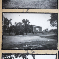 Partridge 1945 picture 15