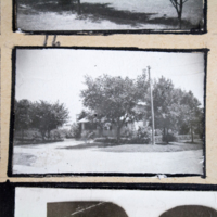 Partridge 1945 picture 16