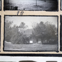 Partridge 1945  picture 18