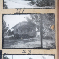 Partridge 1945  picture 21