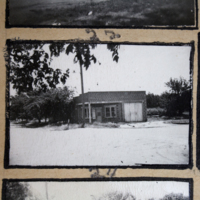 Partridge 1945 picture 22
