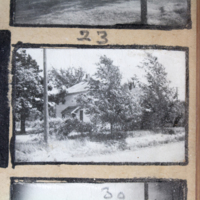 Partridge 1945  picture 23