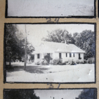 Partridge 1945 picture 24