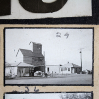 Partridge 1945 picture 29
