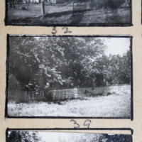 Partridge 1945 picture 32