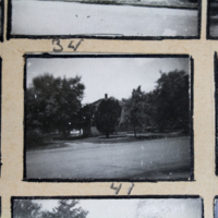 Partridge 1945 picture 34