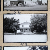 Partridge 1945 picture 36