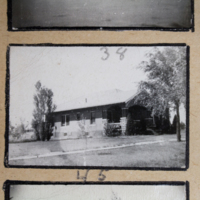 Partridge 1945 picture 38