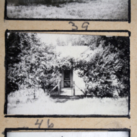 Partridge 1945 picture 39