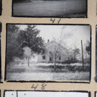 Partridge 1945 picture 41