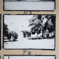 Partridge 1945 picture 43