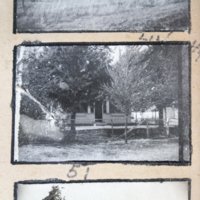 Partridge 1945 picture 44