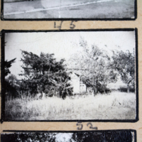 Partridge 1945 picture 45