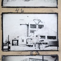 Partridge 1945 picture 46