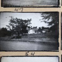 Partridge 1945 picture 47