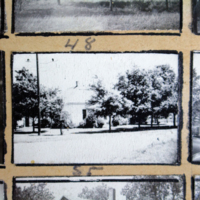 Partridge 1945 picture 48