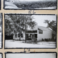 Partridge 1945 picture 56