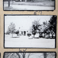 Partridge 1945 pictures 57
