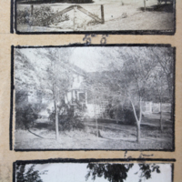 Partridge 1945 picture 58