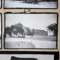 Partridge 1945 picture 63