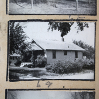 Partridge 1945 picture 65