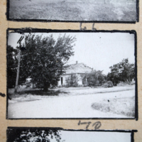 Partridge 1945 picture 66