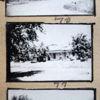 Partridge 1945 picture 70