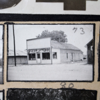 Partridge 1945 picture 73