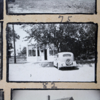 Partridge 1945 picture 75