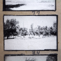 Partridge 1945 picture 77