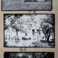 Partridge 1945 picture 78