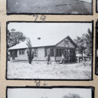 Partridge 1945 picture 79