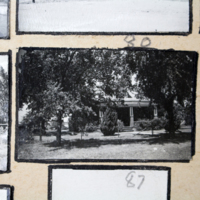 Partridge 1945 picture 80