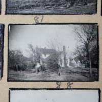 Partridge 1945 picture 81