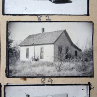Partridge 1945 picture 82