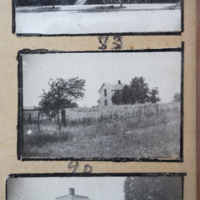 Partridge 1945 picture 83