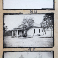 Partridge 1945 picture 84