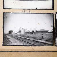 Partridge 1945 picture 93