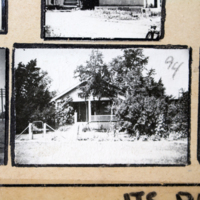 Partridge 1945 picture 94