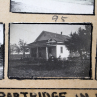 Partridge 1945 picture 95
